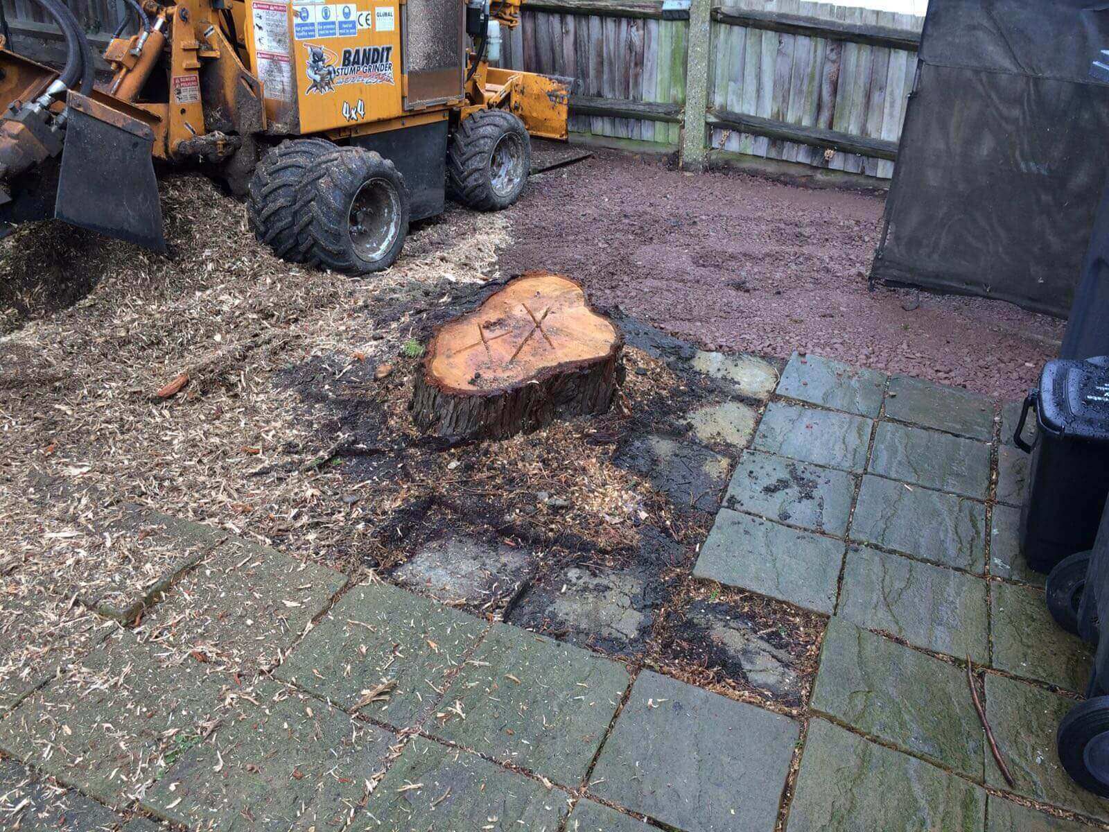 Tree Surgeons Camberwell SE5