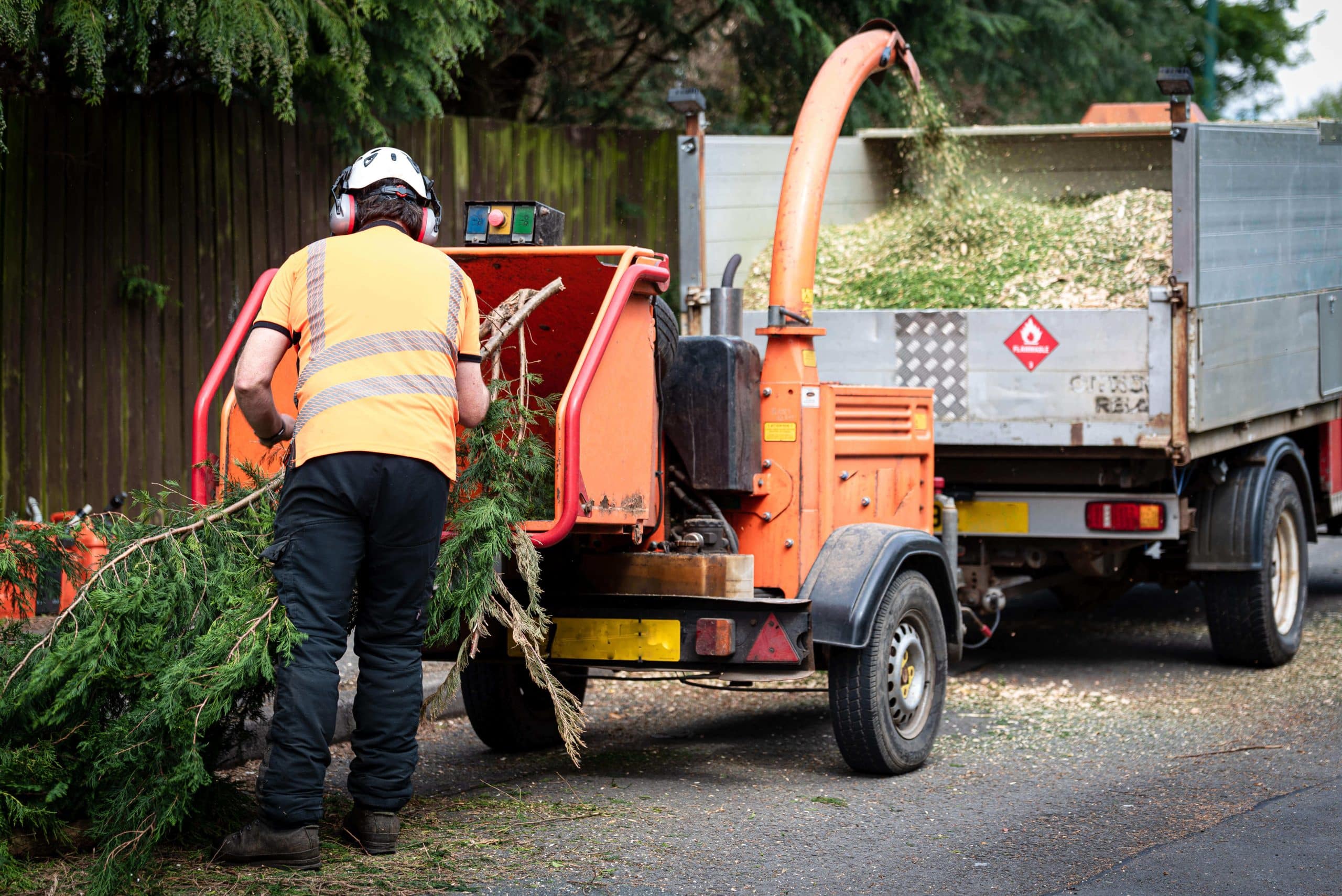 Tree Stump Grinding/Removal Camberwell SE5